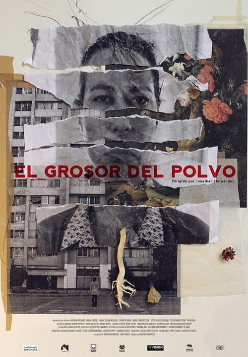 Poster for El Grosor del Polvo