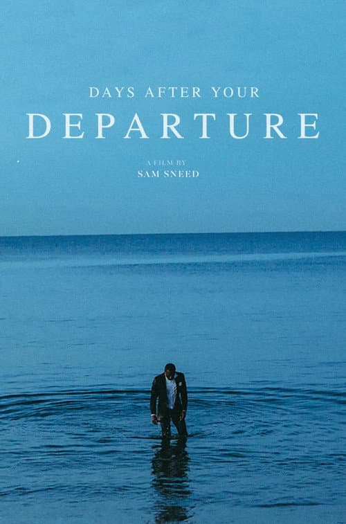 Poster for Days After Your Departure