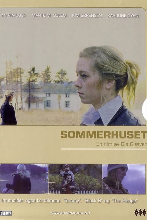 Poster for Summers Past
