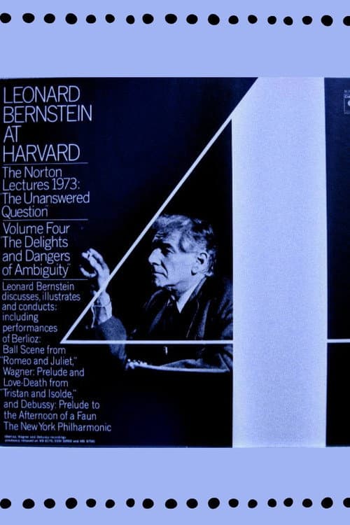 Poster for The Unanswered Question IV : The Delights and Dangers of Ambiguity