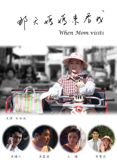 Poster for 那天媽媽來看我