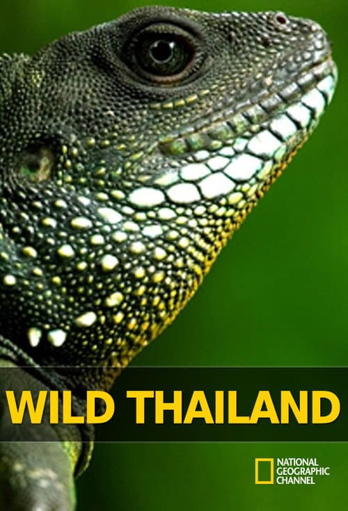 Poster for Wild Thailand
