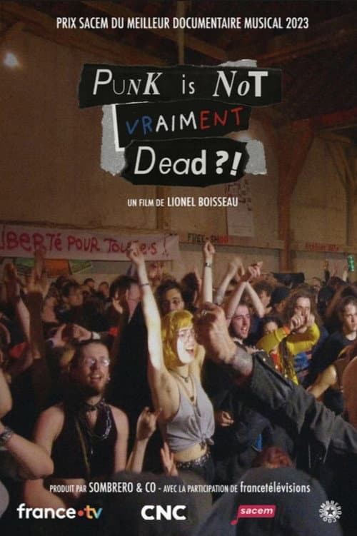 Poster for Punk is not vraiment dead ?!