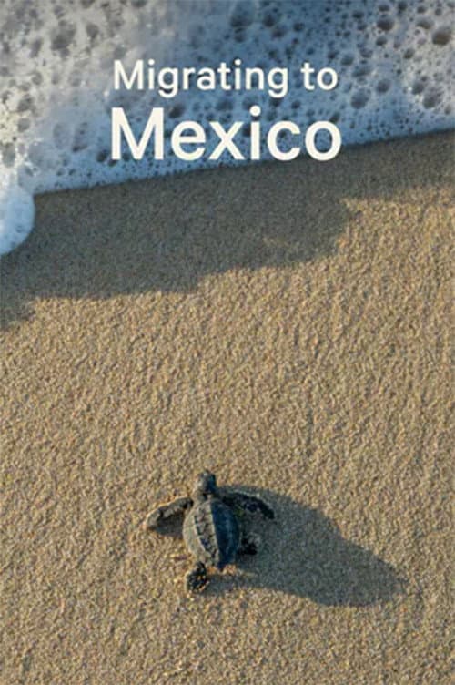 Poster for Migrating to Mexico