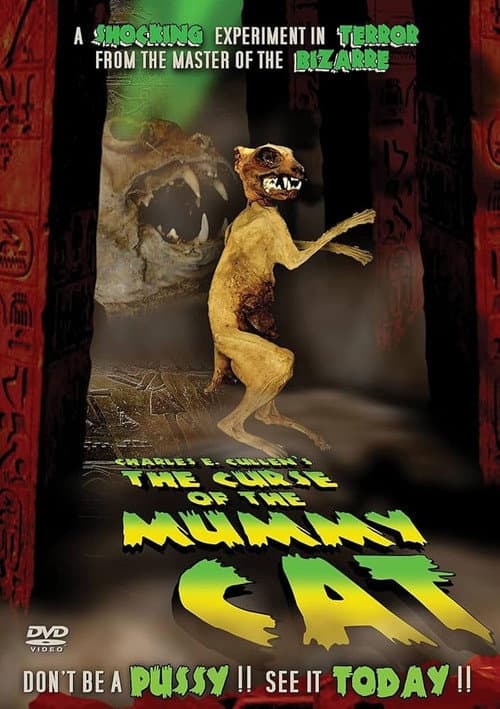 Poster for The Curse of the Mummy Cat