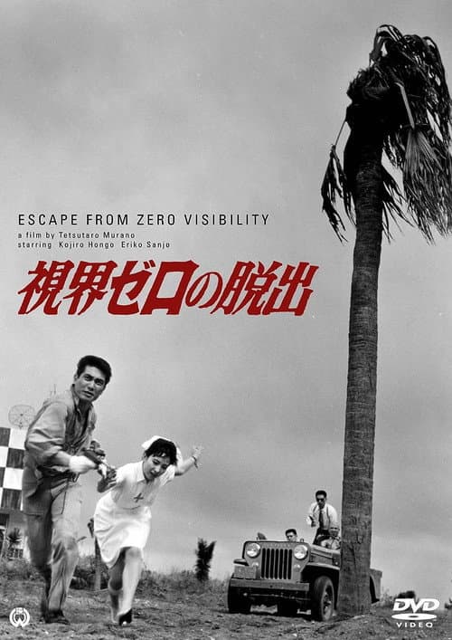 Poster for Zero Escape Visibility