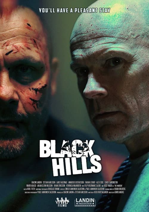 Poster for Black Hills