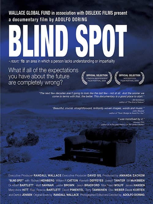 Poster for Blind Spot