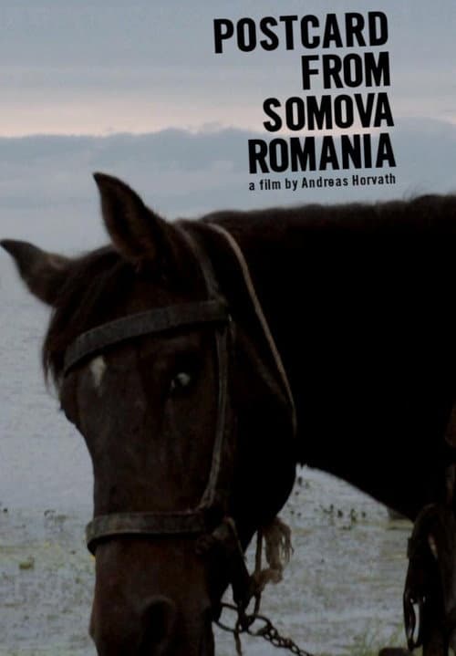 Poster for Postcard from Somova, Romania