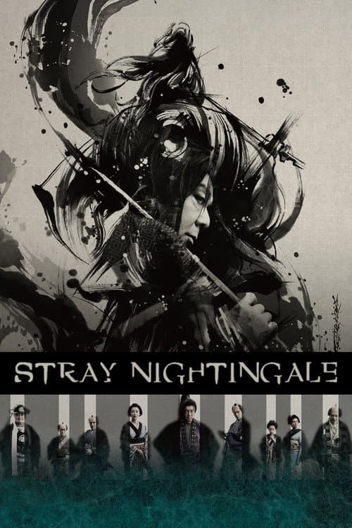Poster for Stray Nightingale
