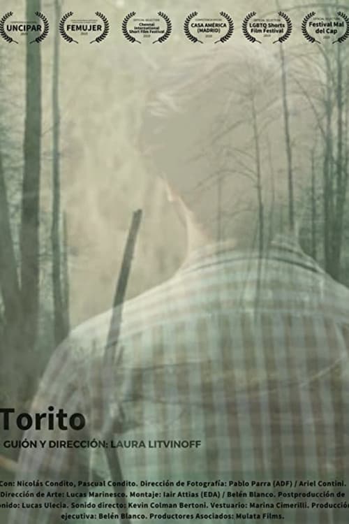 Poster for Torito