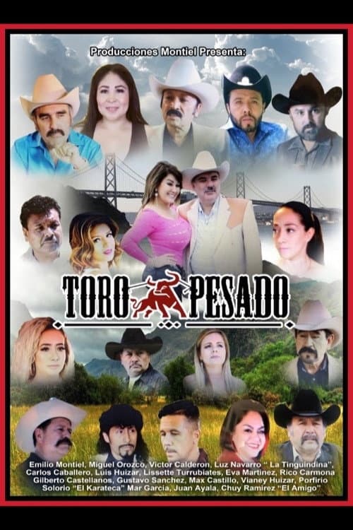 Poster for Toro Pesado