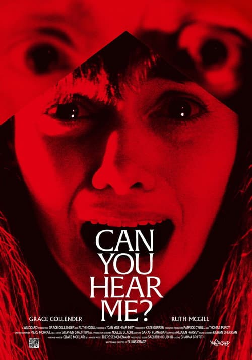 Poster for Can You Hear Me?