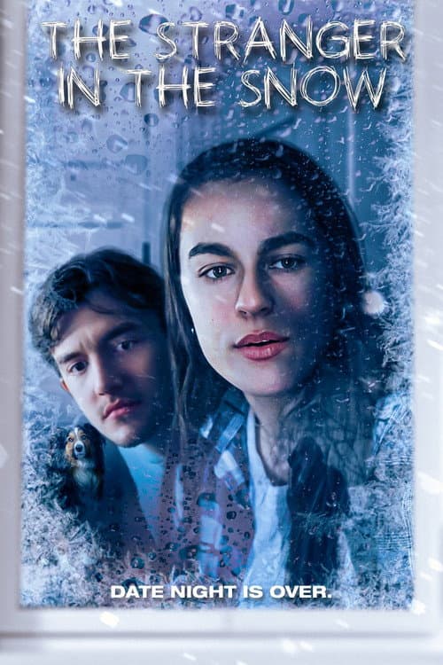 Poster for The Stranger in the Snow
