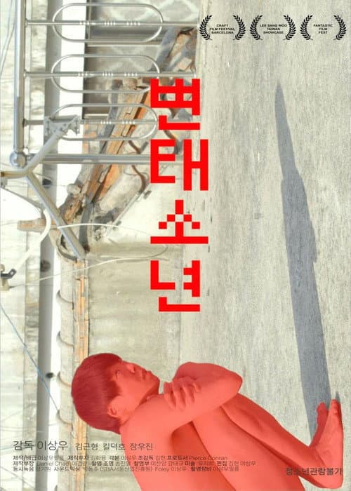 Poster for Pervert Boy