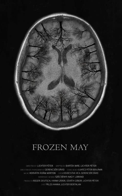 Poster for Frozen May