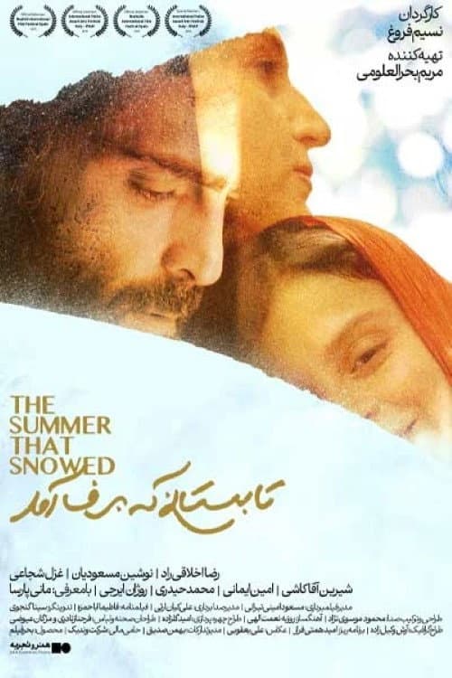 Poster for The Summer That Snowed
