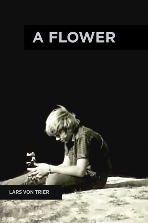 Poster for A Flower
