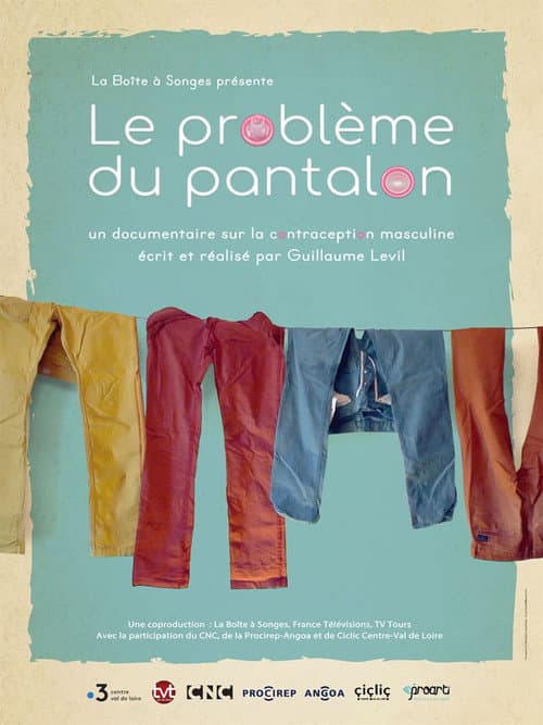 Poster for Le problème du pantalon