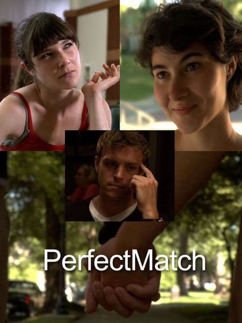 Poster for PerfectMatch