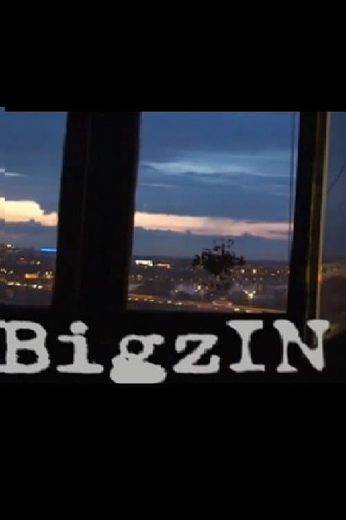 Poster for BigzIN