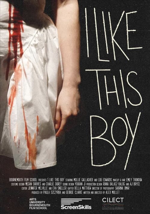 Poster for I Like This Boy