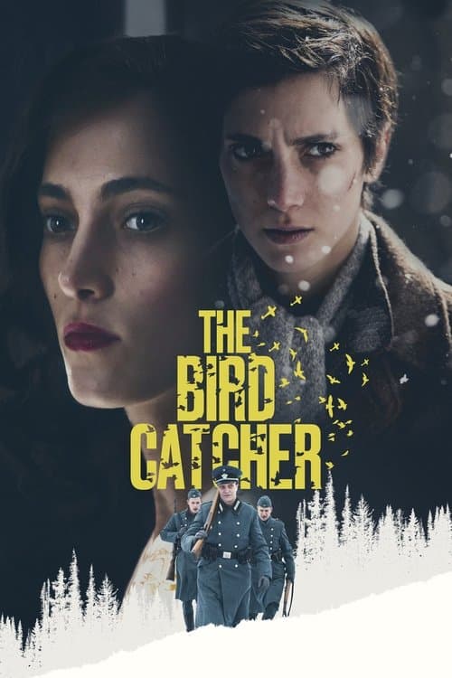 Poster for The Birdcatcher