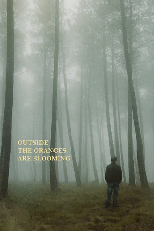 Poster for Outside the Oranges Are Blooming