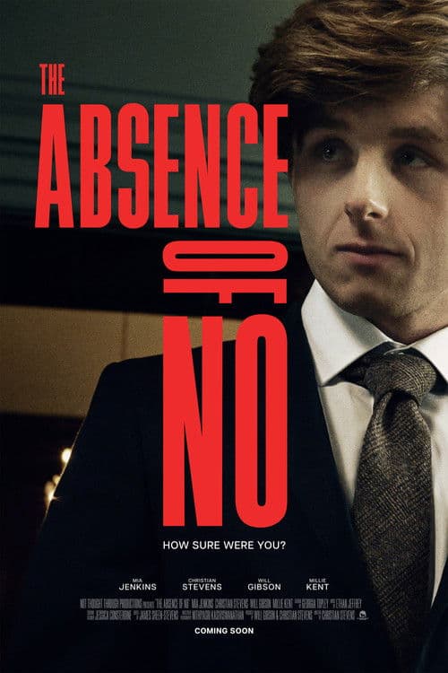 Poster for The Absence of No
