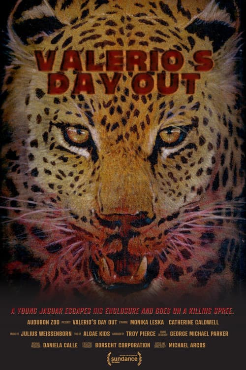 Poster for Valerio's Day Out