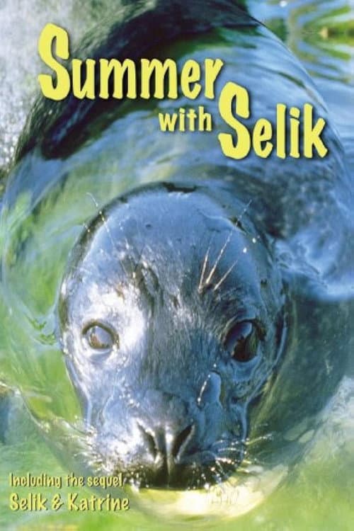Poster for Summer with Selik
