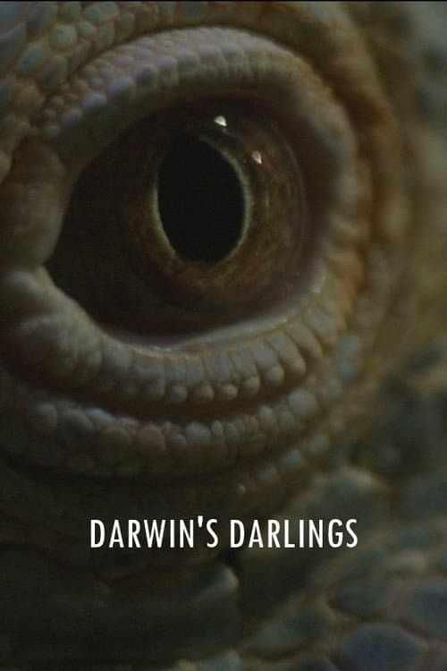 Poster for Darwin's Darlings
