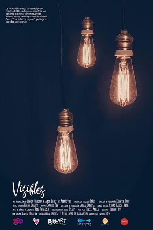 Poster for Visibles