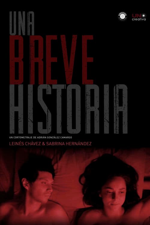 Poster for A Short Story