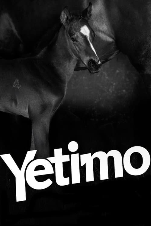 Poster for Yetimo