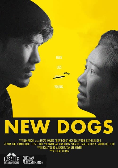 Poster for New Dogs