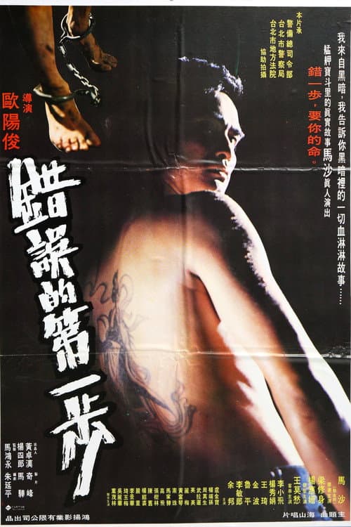 Poster for The First Error Step