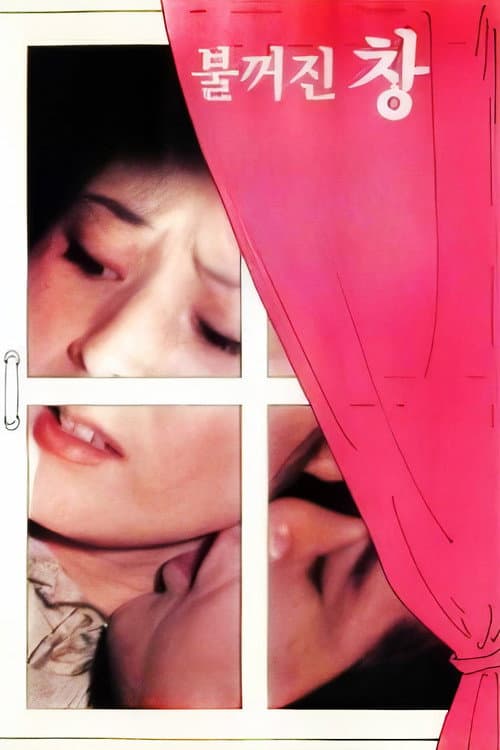 Poster for An Extinguished Window