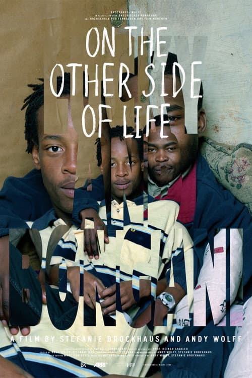 Poster for On the Other Side of Life