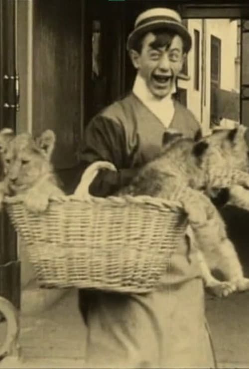 Poster for Polidor and the Cat