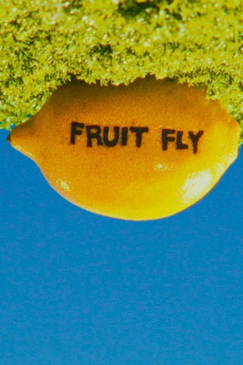 Poster for Fruit Fly