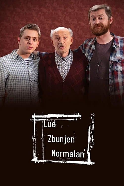 Постер до серіалу «Божевільний, розгублений, нормальний»