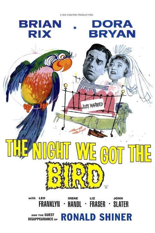 Постер до фільму «The Night We Got the Bird»