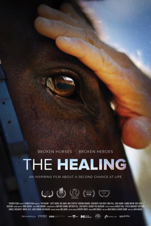 Постер до фільму «The Healing»