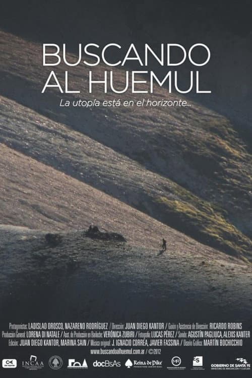 Poster for Buscando al huemul