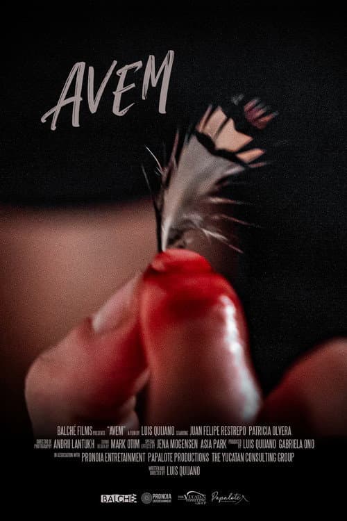 Poster for Avem