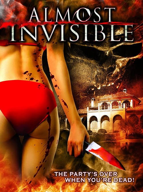 Poster for Almost Invisible