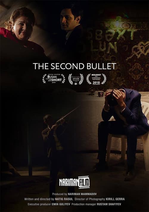 Poster for The Second Bullet