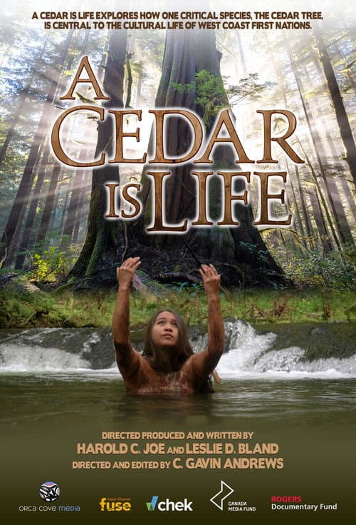 Poster for A Cedar Is Life