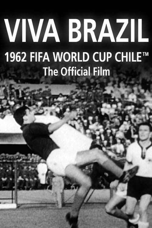 Poster for Viva Brazil